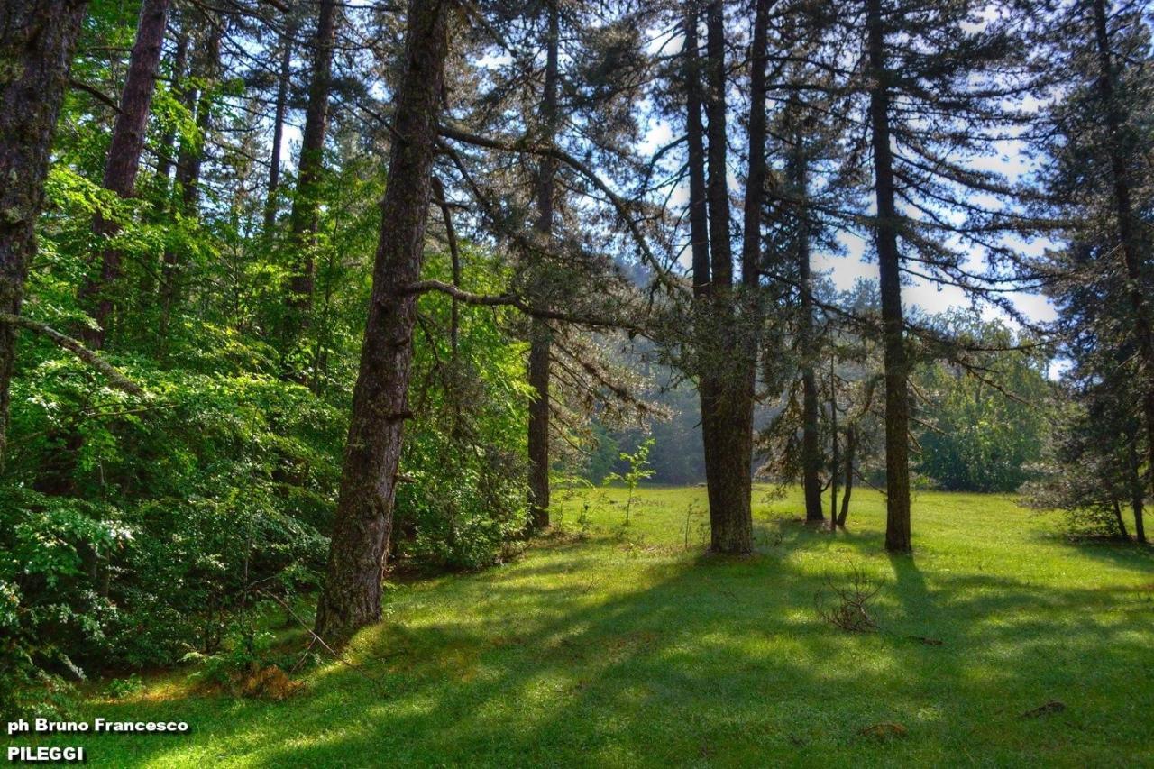 Апартаменты Montesanto 116 Козенца Экстерьер фото